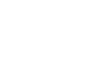 FIS logo